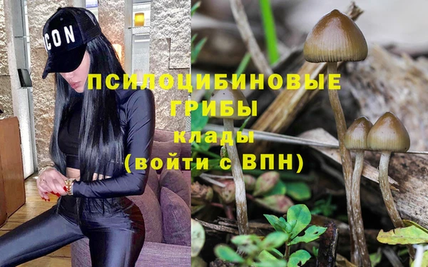 твердый Зеленокумск