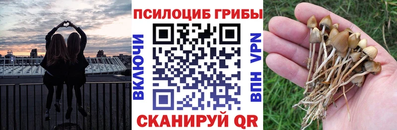 Псилоцибиновые грибы ЛСД  Купить где  Михайловка 